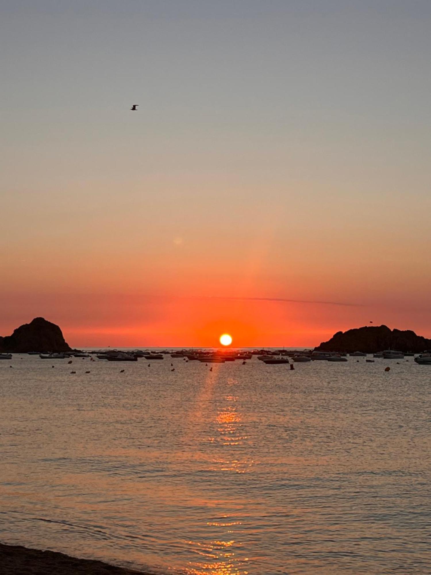 Tossa De Mar - Tropicana Kültér fotó